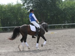 IMG_1399_web